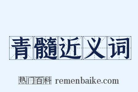 青髓近义词是什么意思的图片